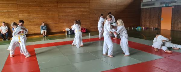 http://www.judo-schelklingen.de/images/gallery/115/20220713_193514.jpg